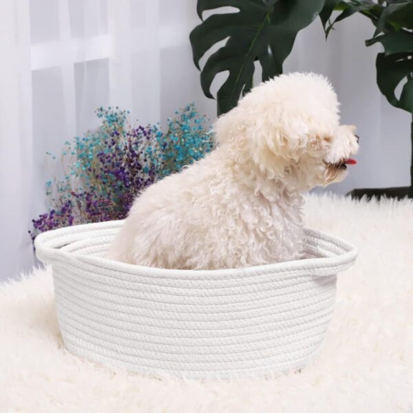 ABenkle Cute Small Woven Basket with Handles, 12"x 8" x 5" Rope 1 Pack, White - Image 4