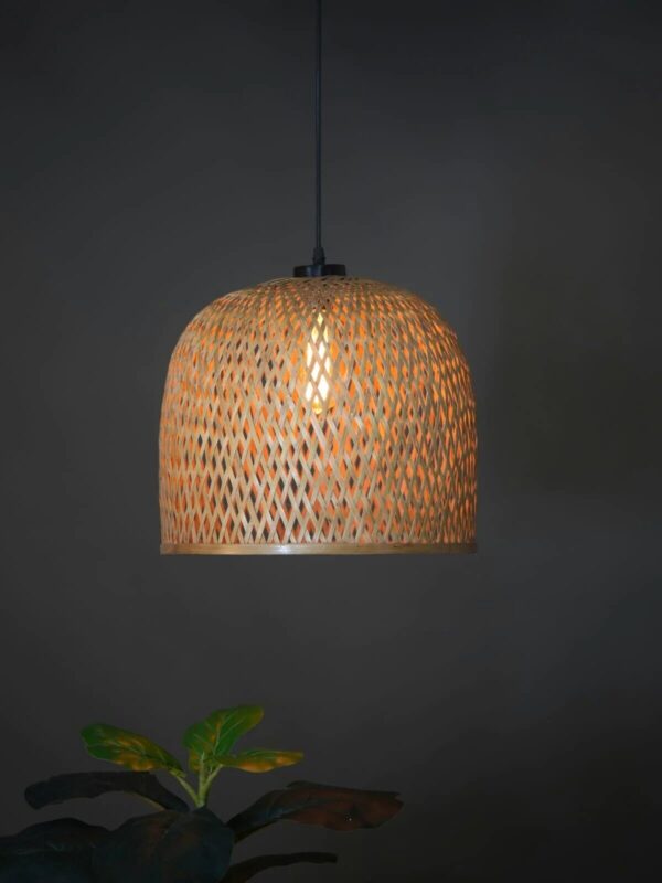 Rattan Hanging Lamp Shade Decoration Light Fixture Decorative Rustic Handmade