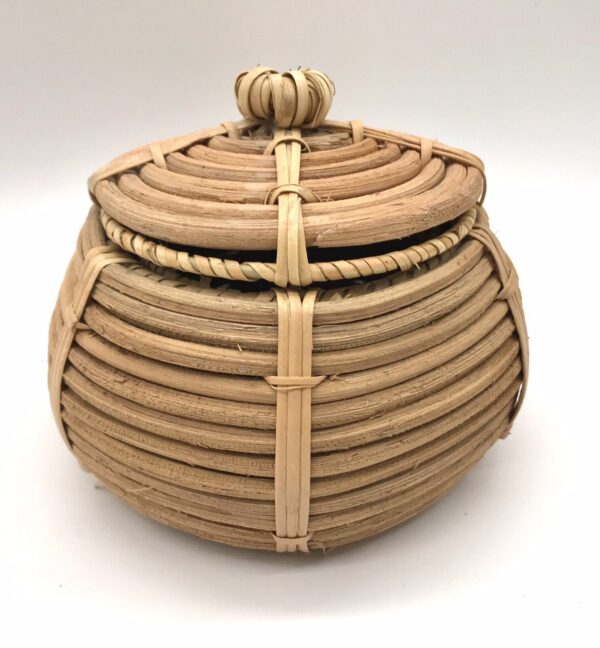 Small Basket Handwoven Lidded Rattan Southwest Style Boho Wire Reinforced