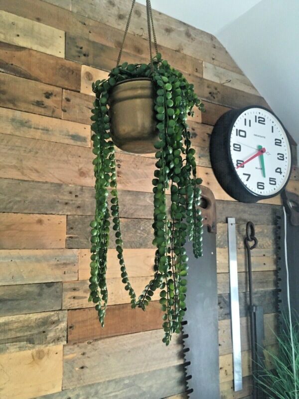 VINTAGE BRASS HANGING BASKET PLANTER PLANT POT & CHAIN ANTIQUE BOHO CACTI HERBS