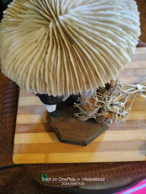 Vintage Carved Woden Sea Captain Lamp And Coral Lamp Shade - Image 3