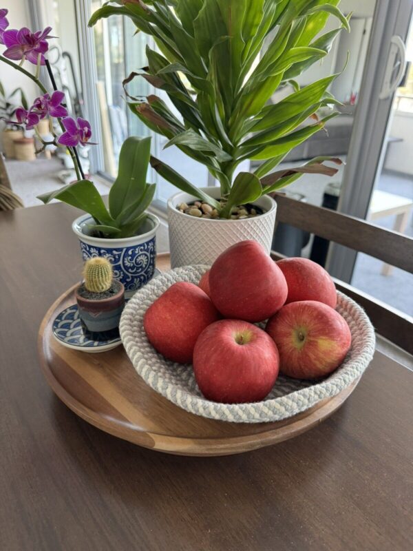 Woven Basket Boho Rope Bowl Tray Southwest Indie Decor Fruit Holder Display - Image 4