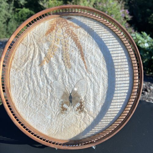 Bamboo Pressed Floral Serving Tray 70s Boho Decor Vintage 11 Inches Butterfly - Image 3