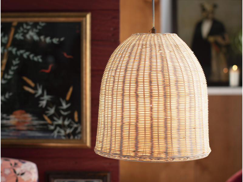  Rattan Pendant Light by Drew Barrymore Flower Home